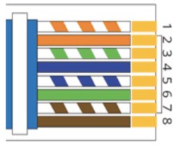 Icon  Description automatically generated 